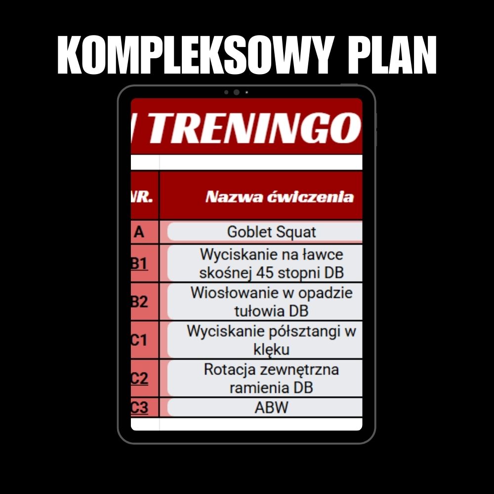 Plan - sylwetka boksera